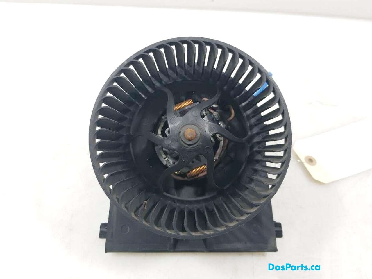 Blower Motor