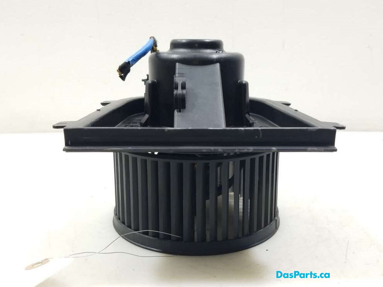 Blower Motor