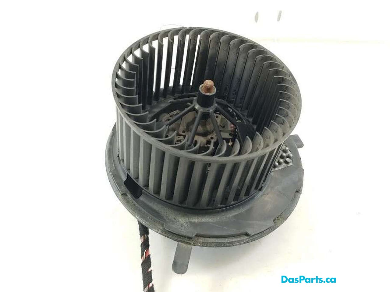 Blower Motor