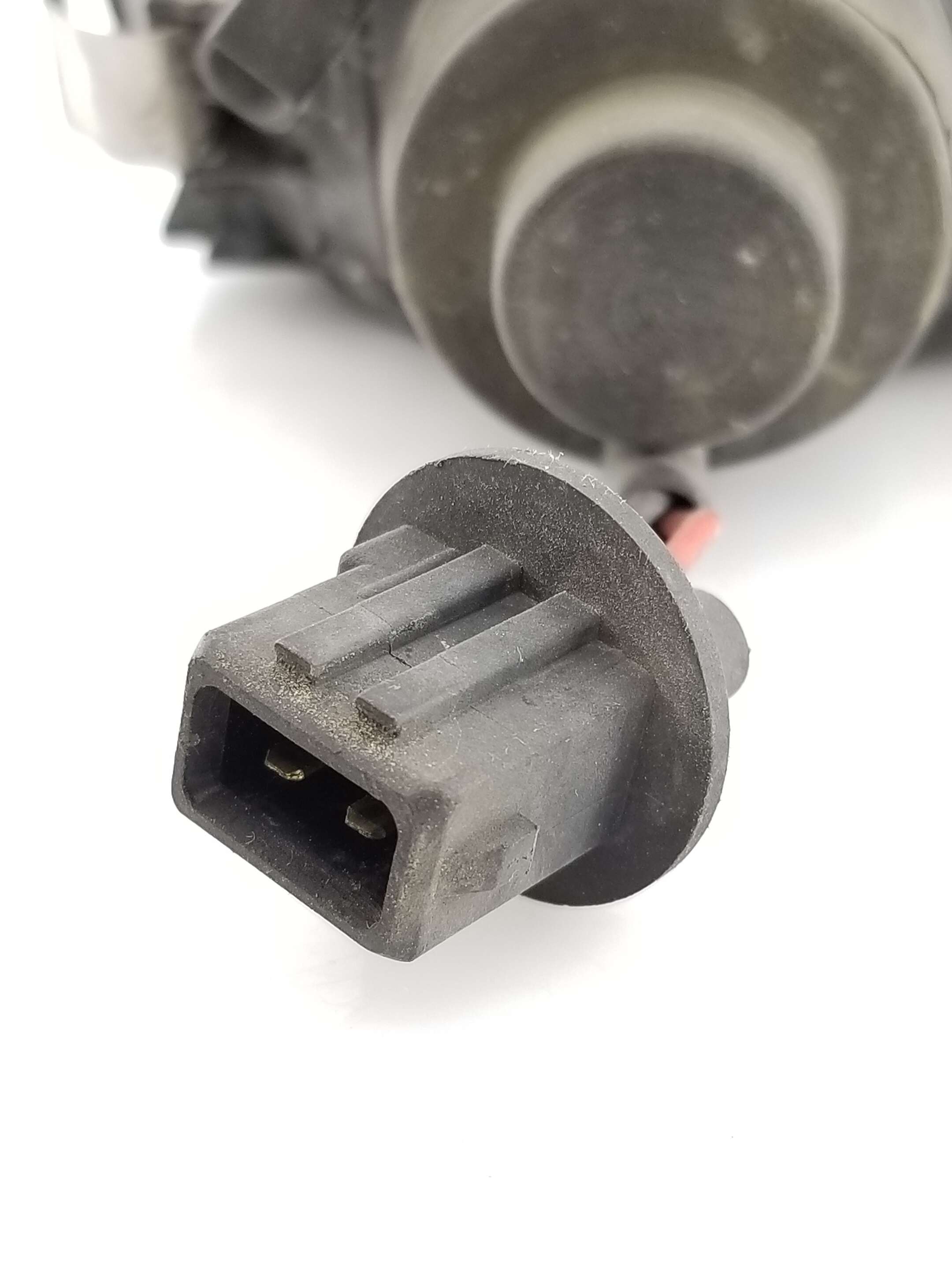 Fog Light R