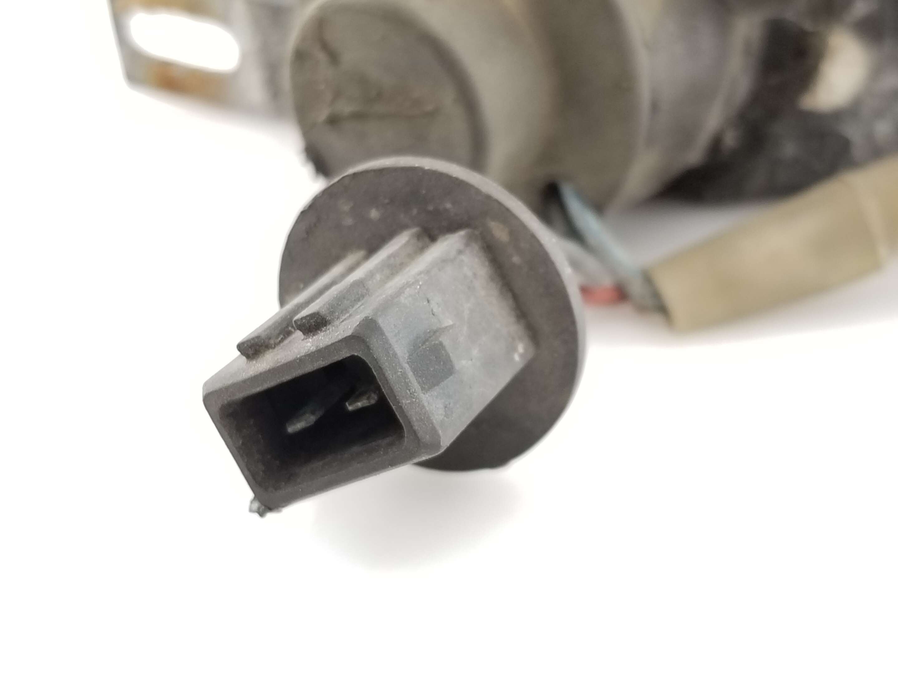 Fog Light L