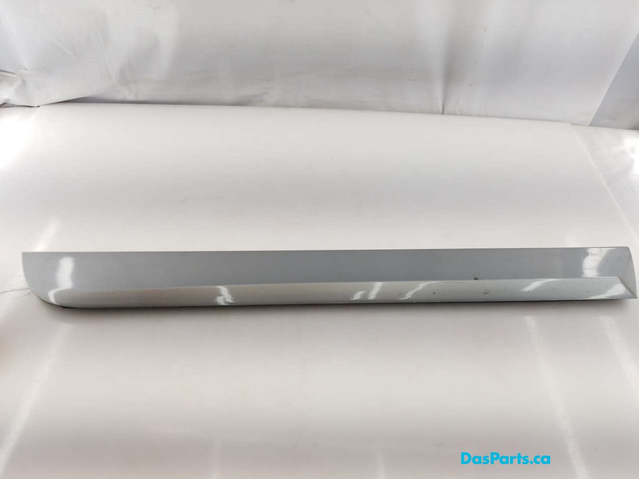 Lower Door Molding RR
