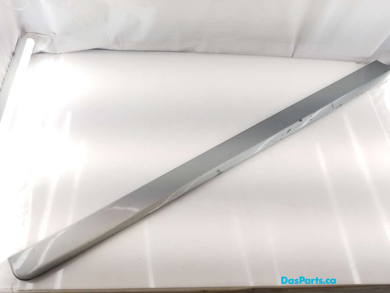 Lower Door Molding LF
