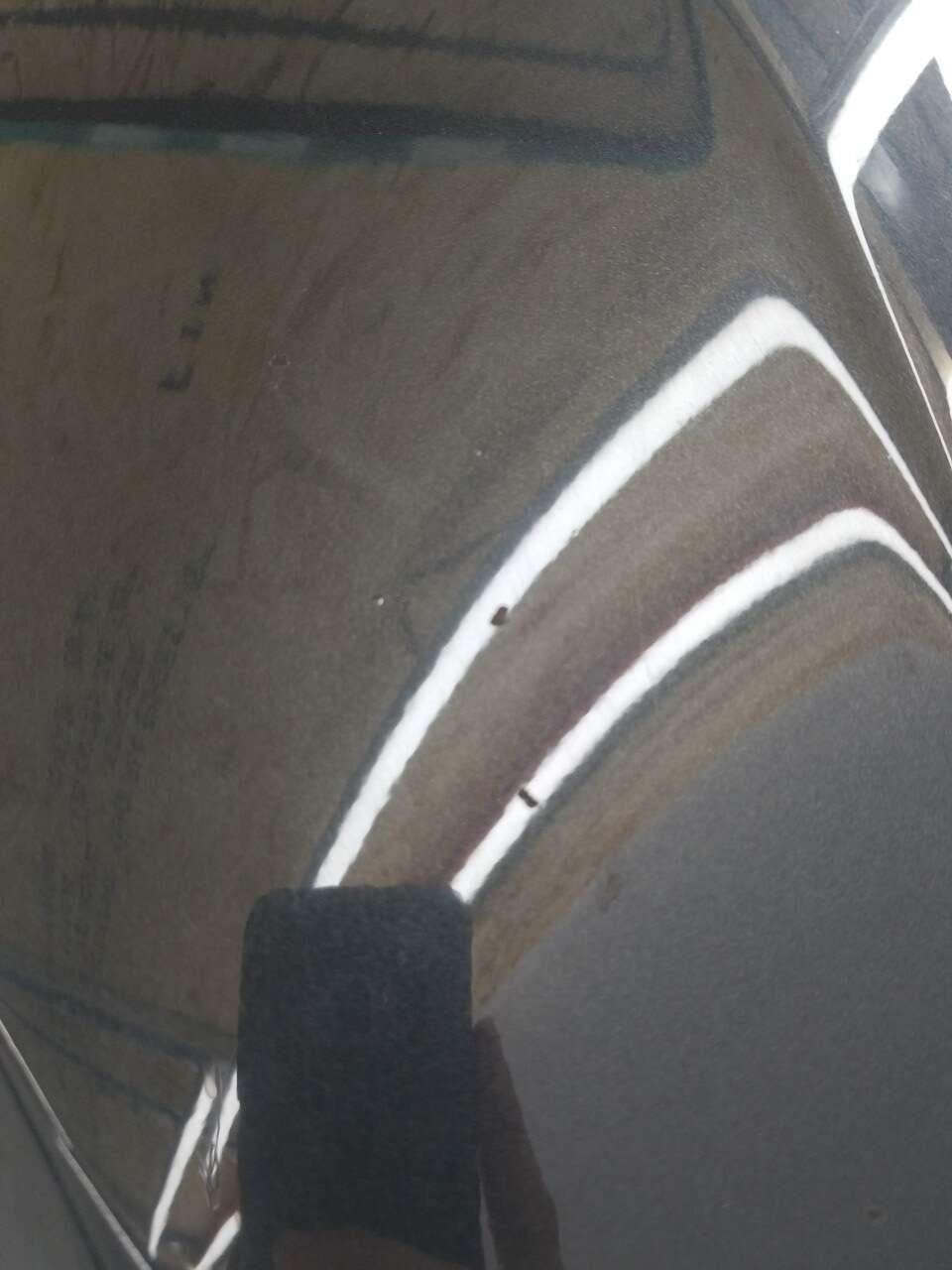 Fender LF