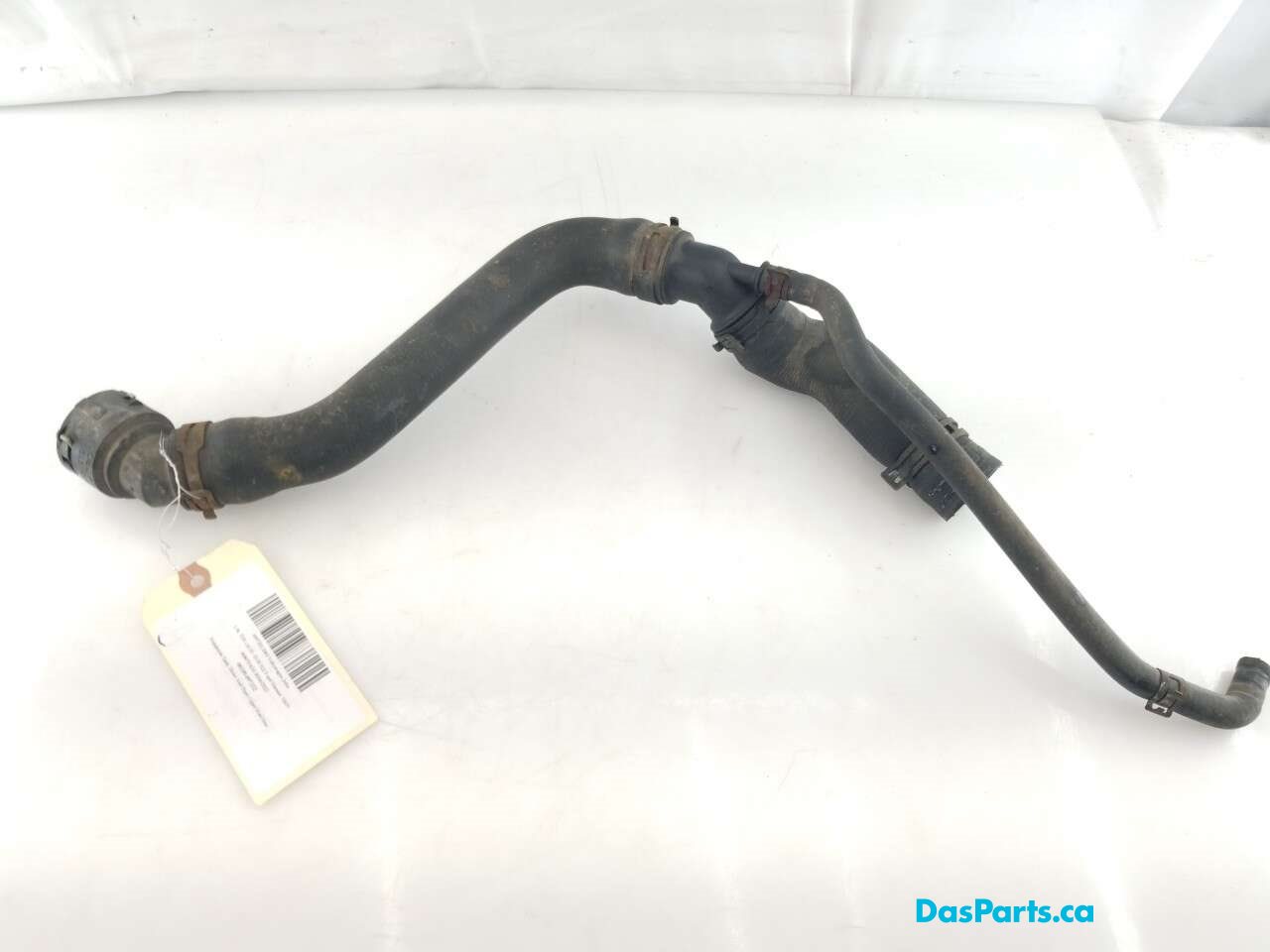 Upper Rad Hose