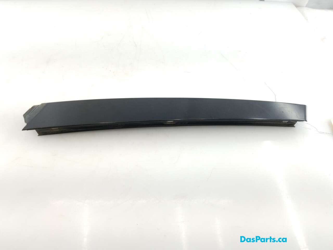 Door Applique LR Rearward