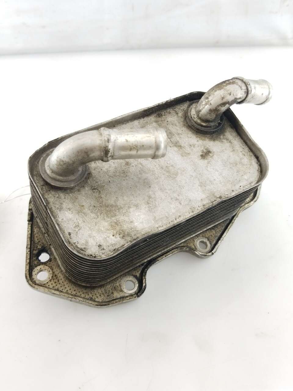 Oil Cooler