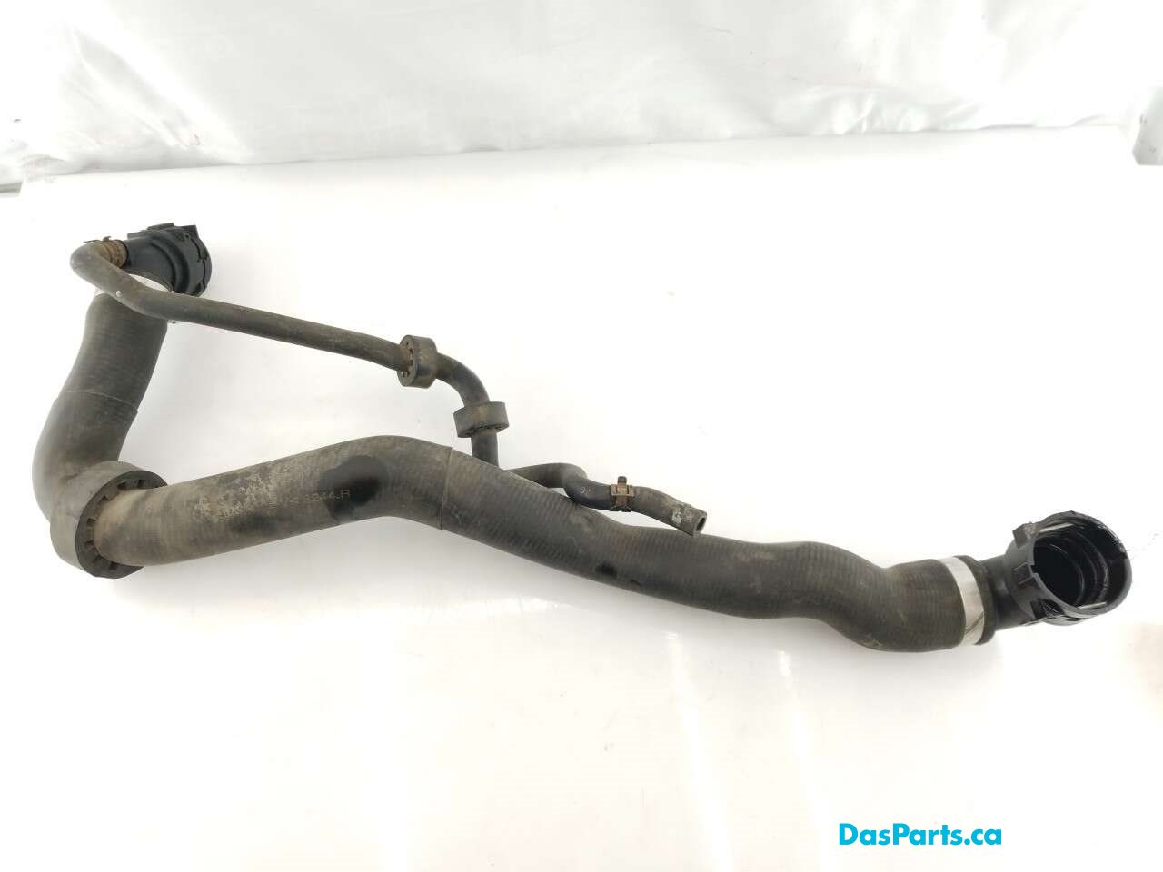 Lower Rad Hose