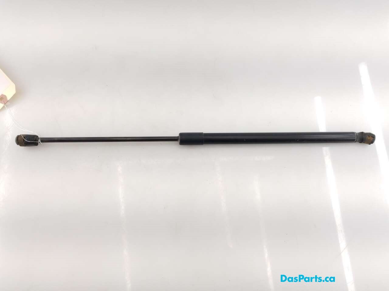 Trunk/Hatch Strut 1