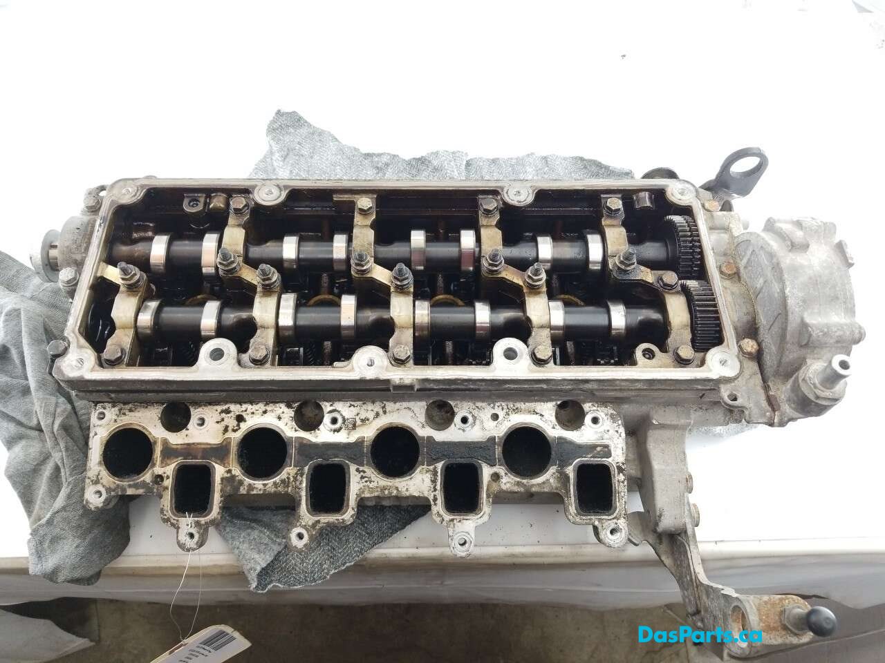 Engine Cylinder Head