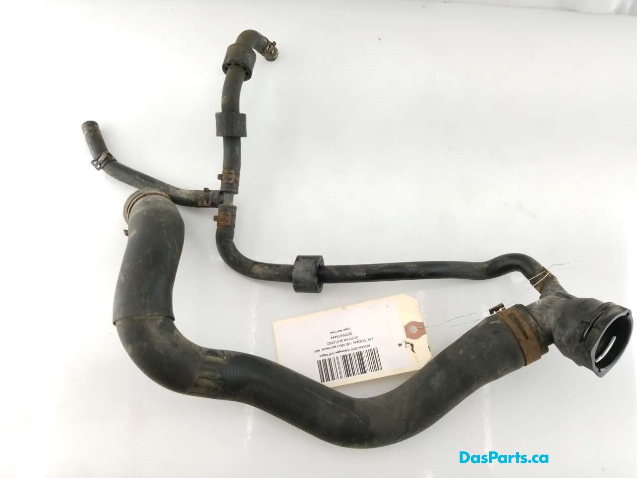 Upper Rad Hose
