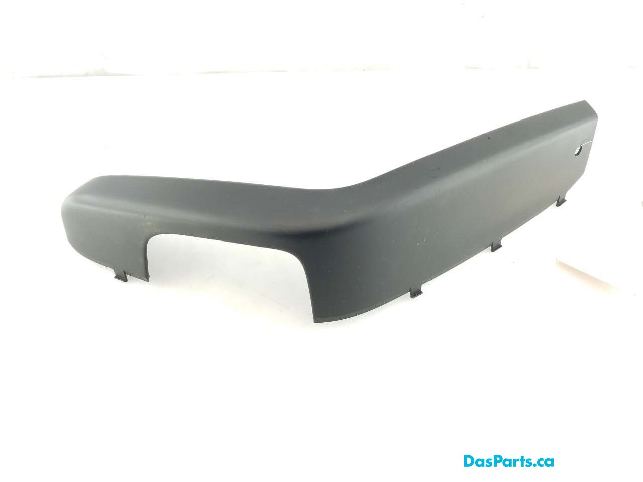 Door Trim RR