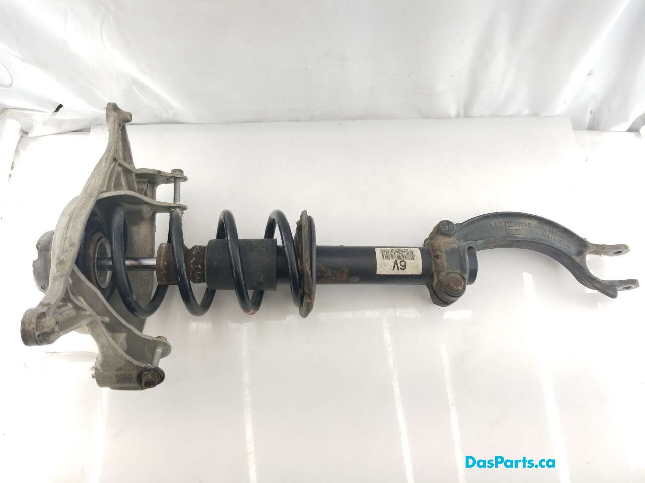 Strut Assembly LF