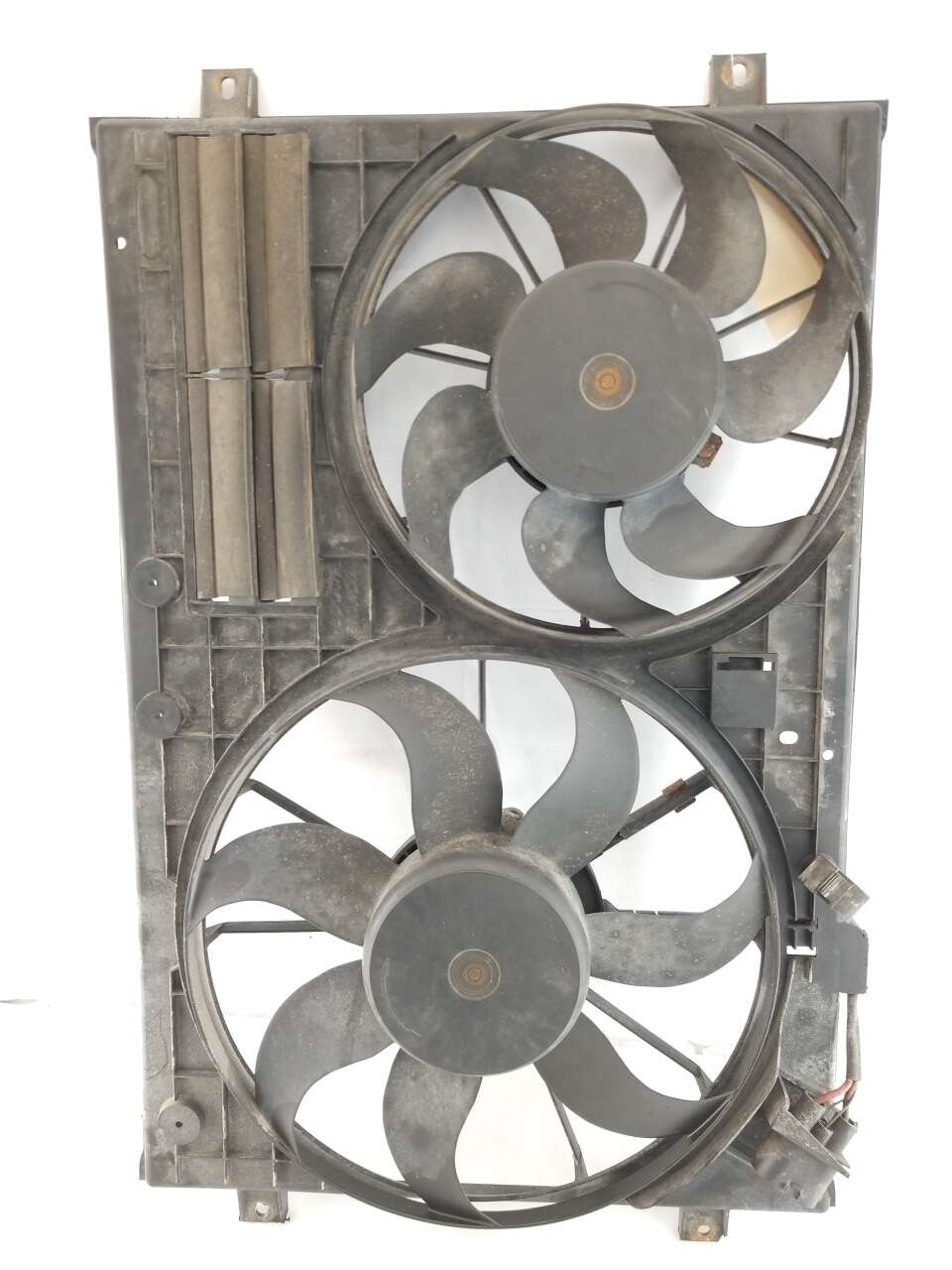 Rad Fan Assembly