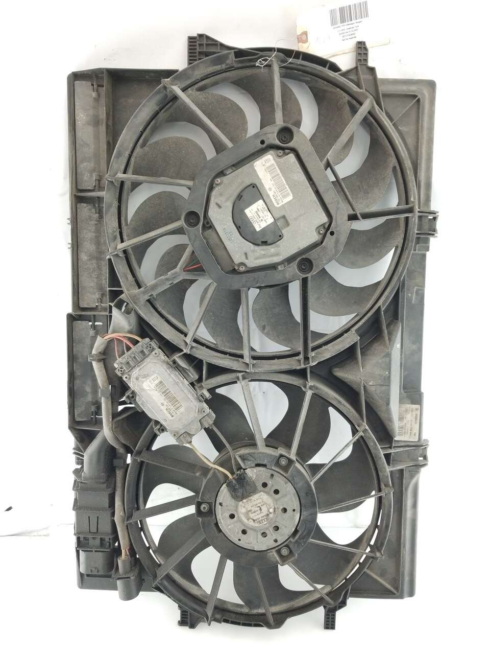Rad Fan Assembly