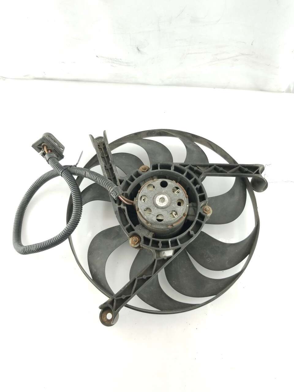 Rad Fan RF