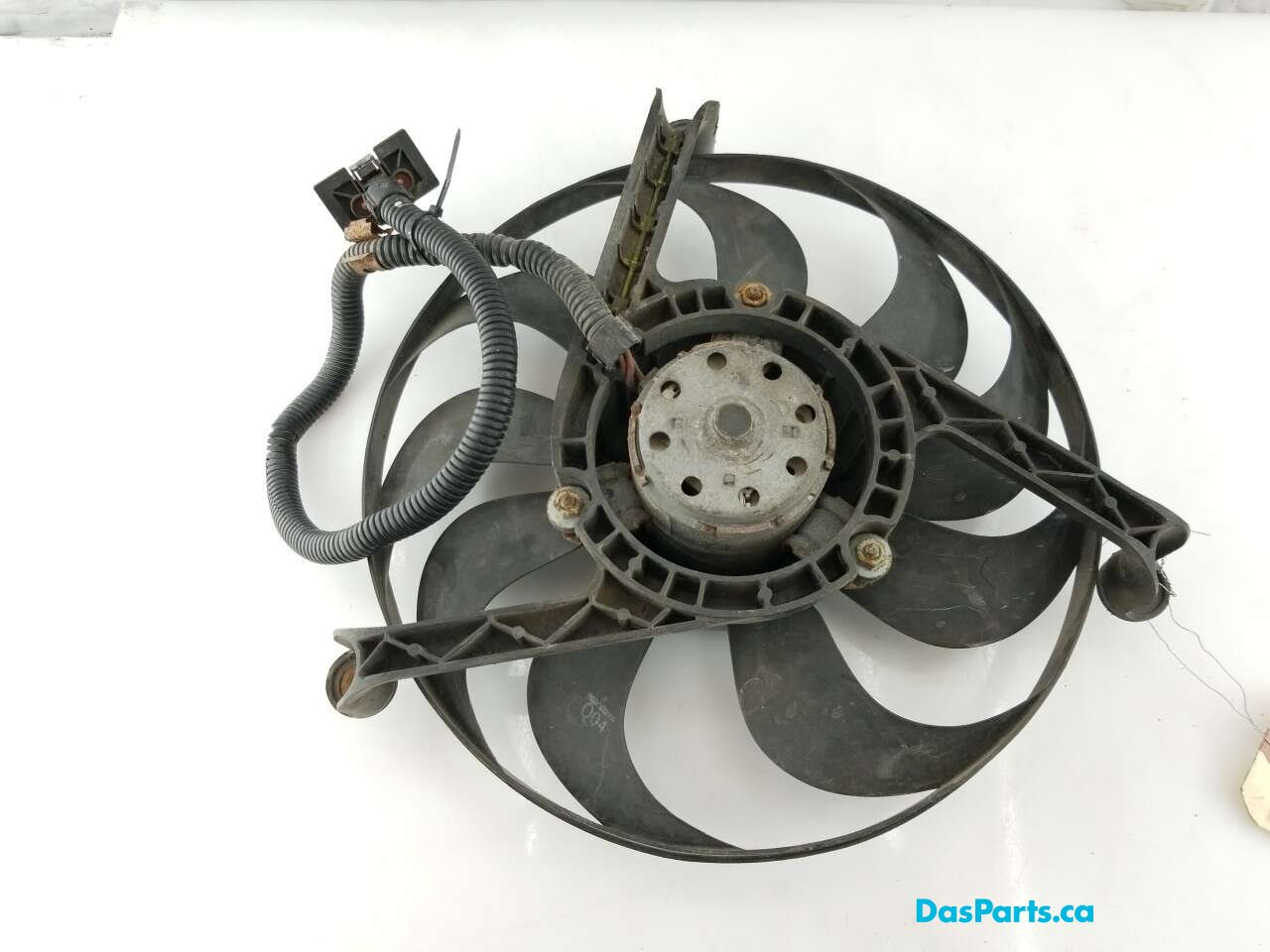 Rad Fan RF