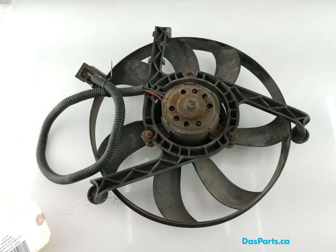 Rad Fan RF