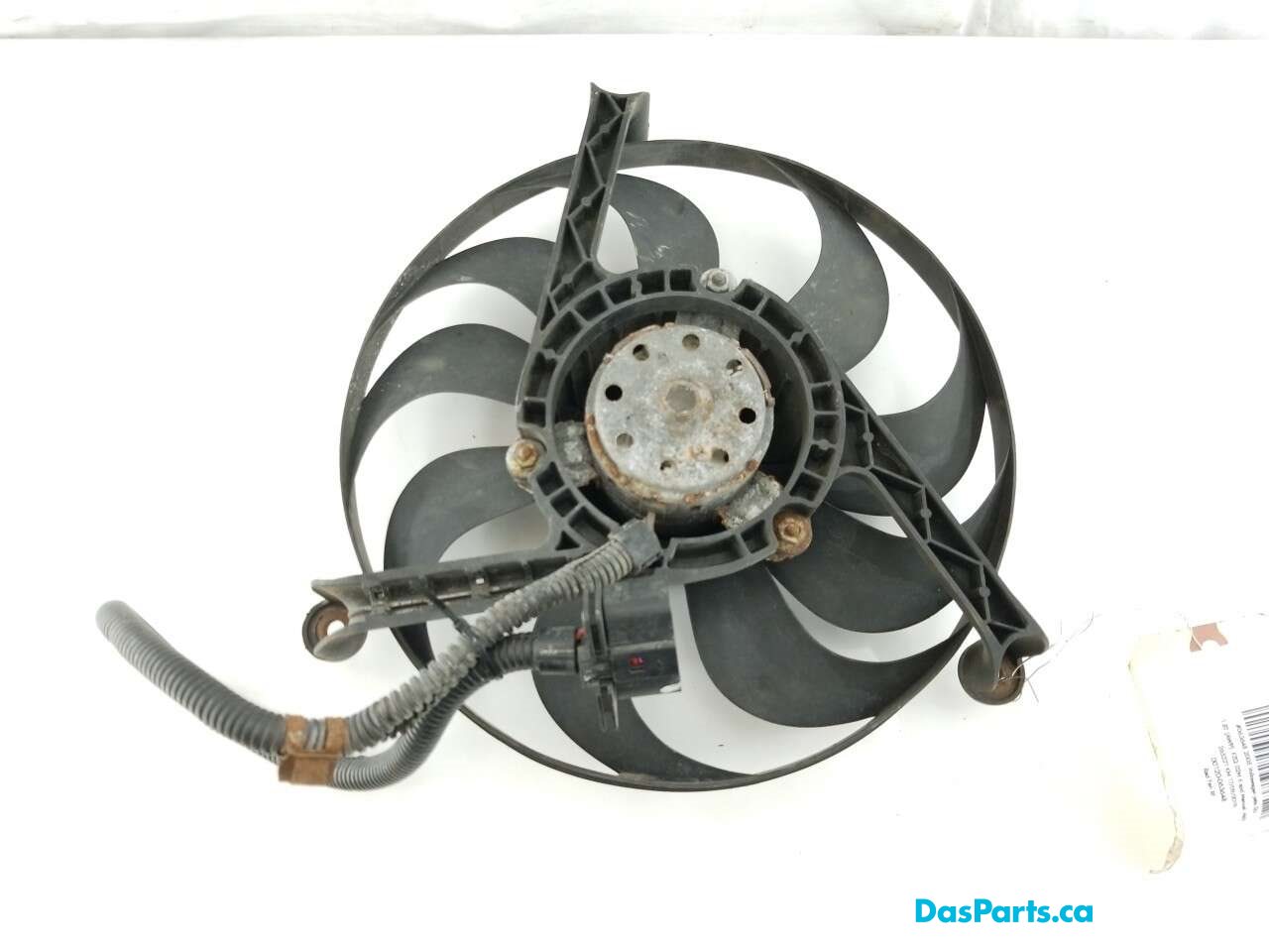 Rad Fan RF