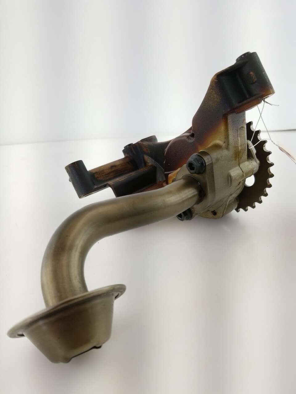 Oil Pump Assembly