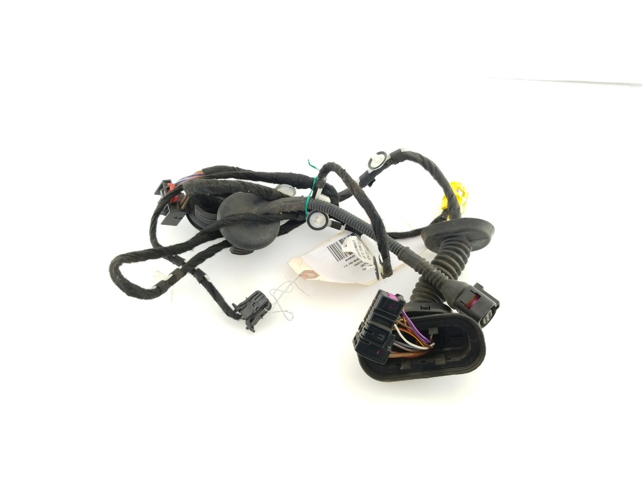 Door Harness RF 1