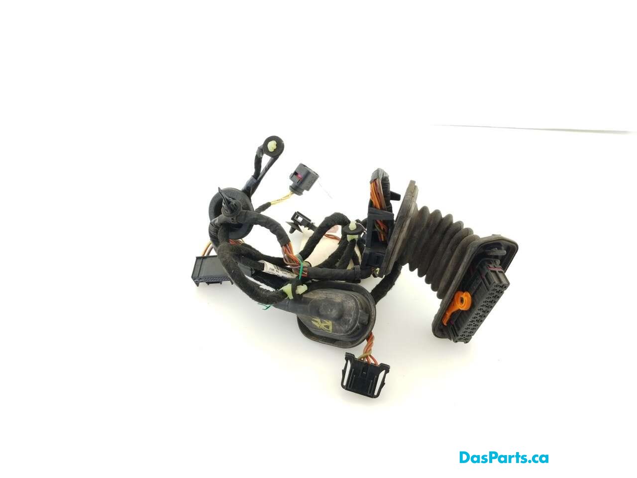 Door Harness RF 1