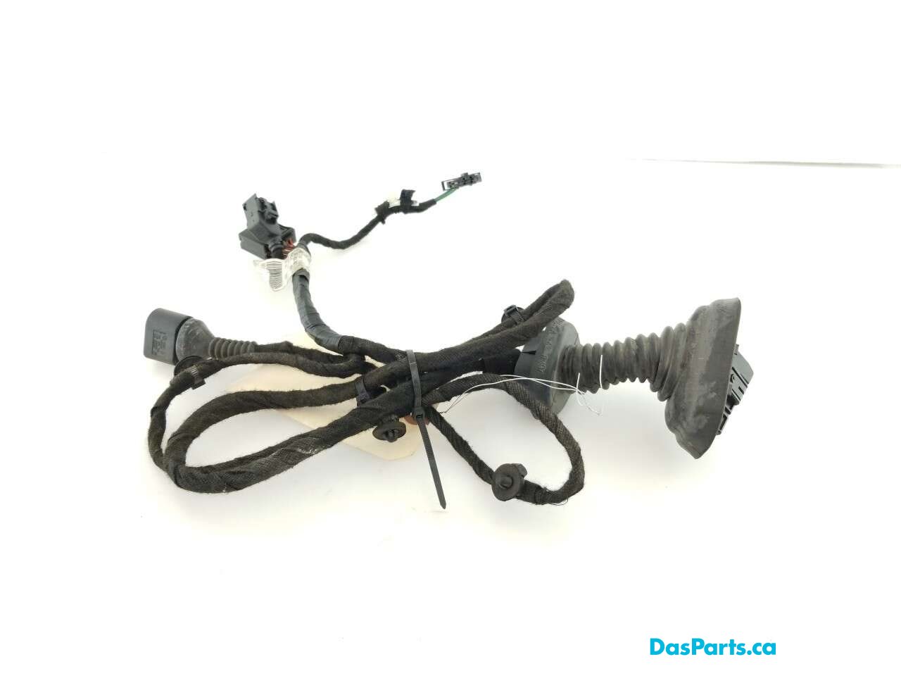 Door Harness RF 1
