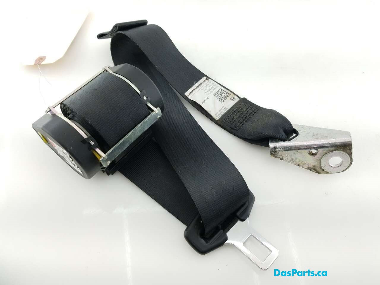 Seat Belt LR