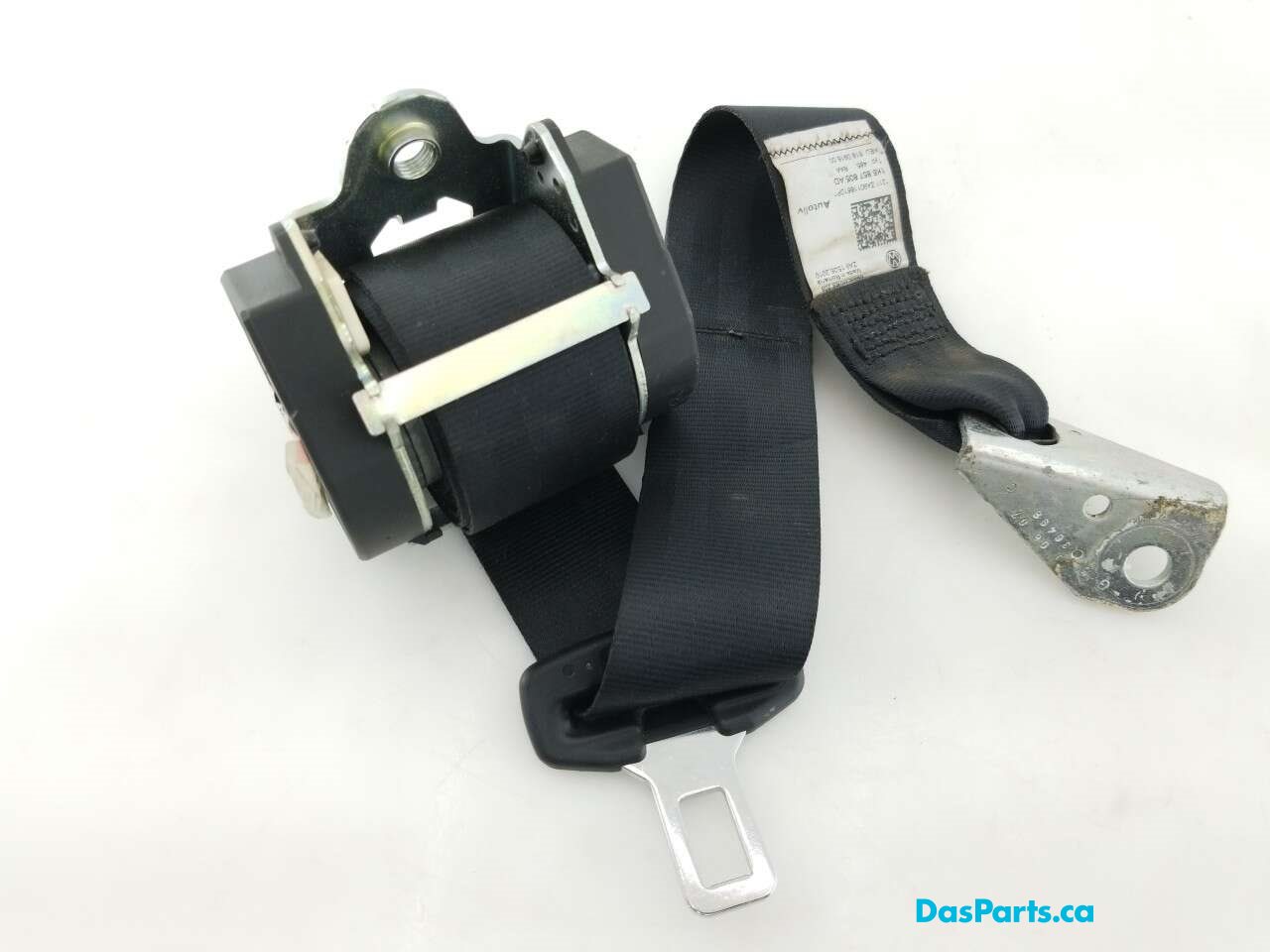 Seat Belt LR