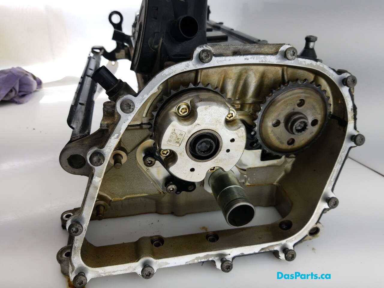 Engine Cylinder Head