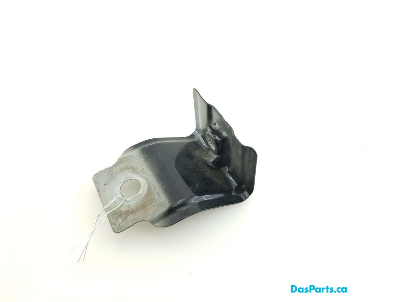Fender Support LF