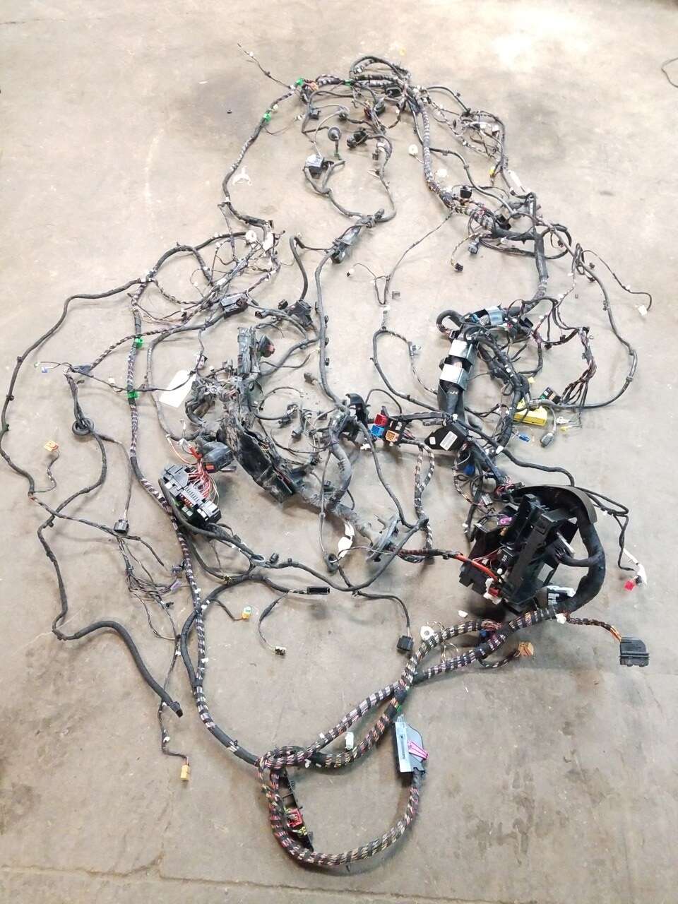 Body Harness