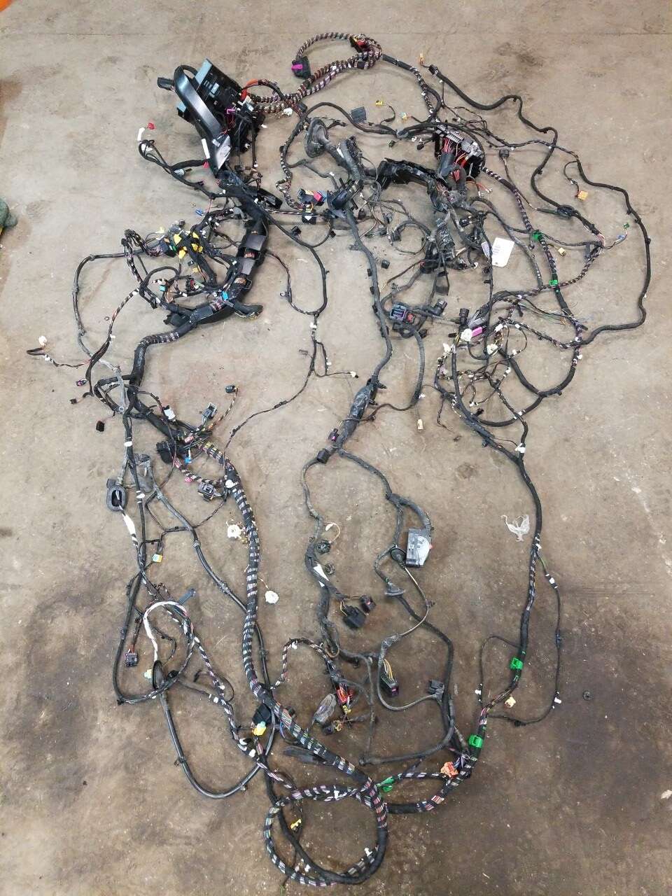 Body Harness