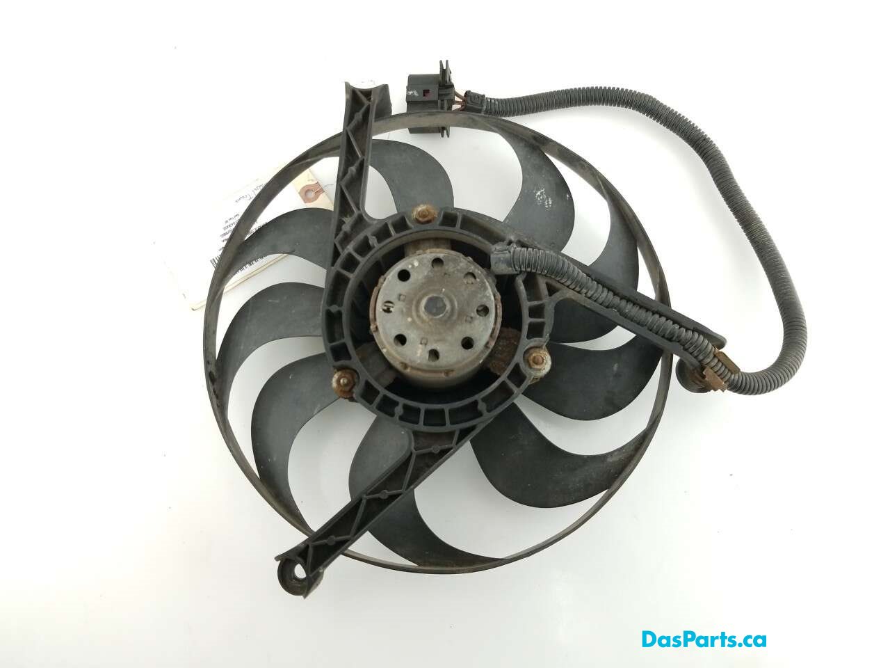 Rad Fan RF