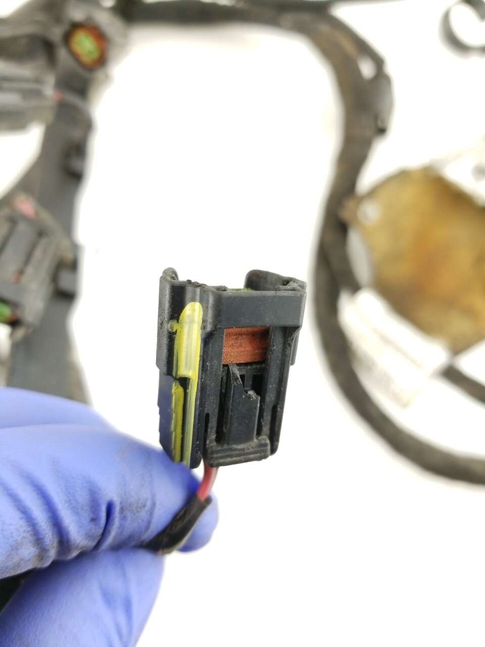 Main Engine Harness
