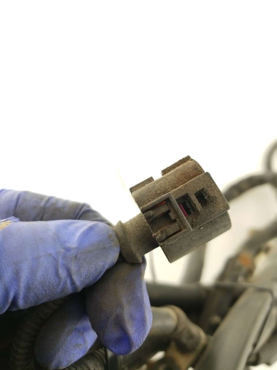 Alternator Harness