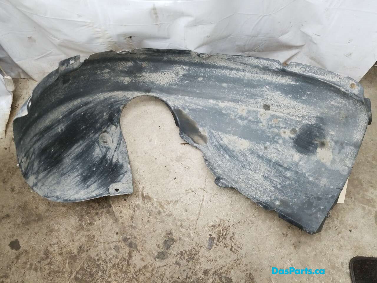 Fender Liner LF