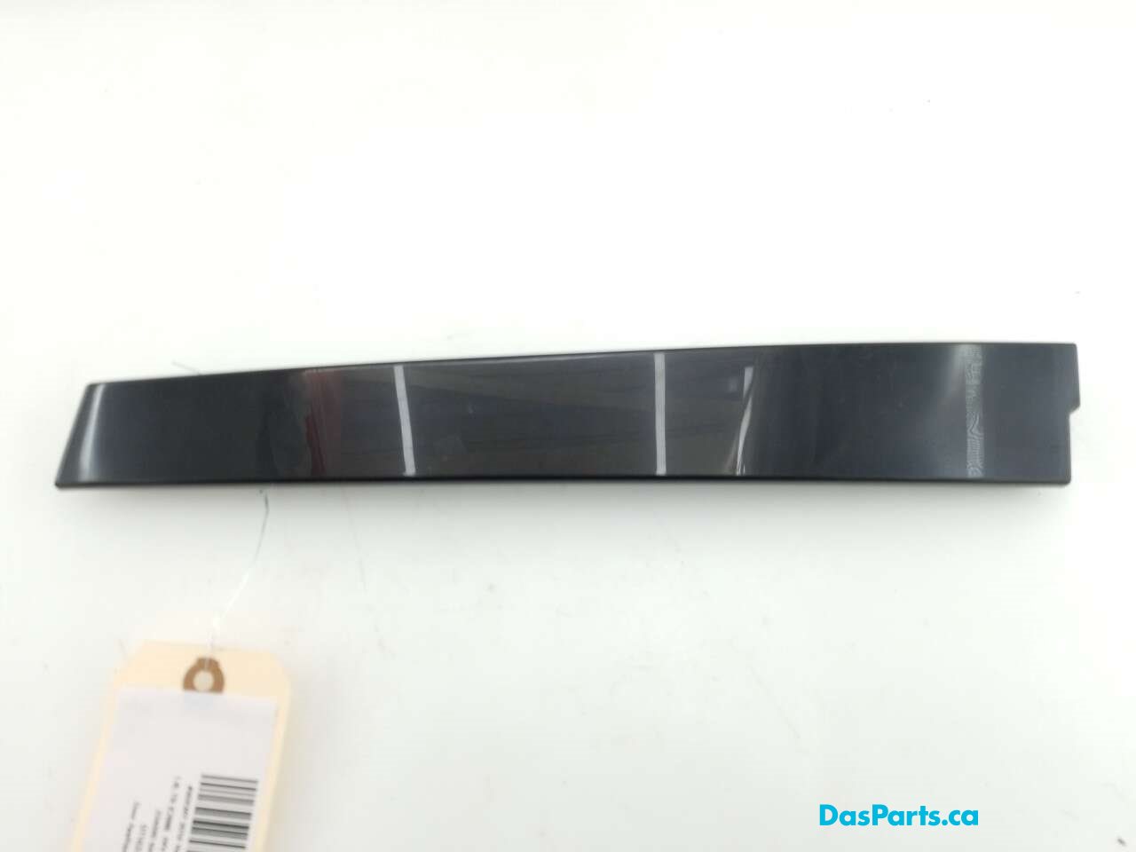 Door Applique LR Rearward
