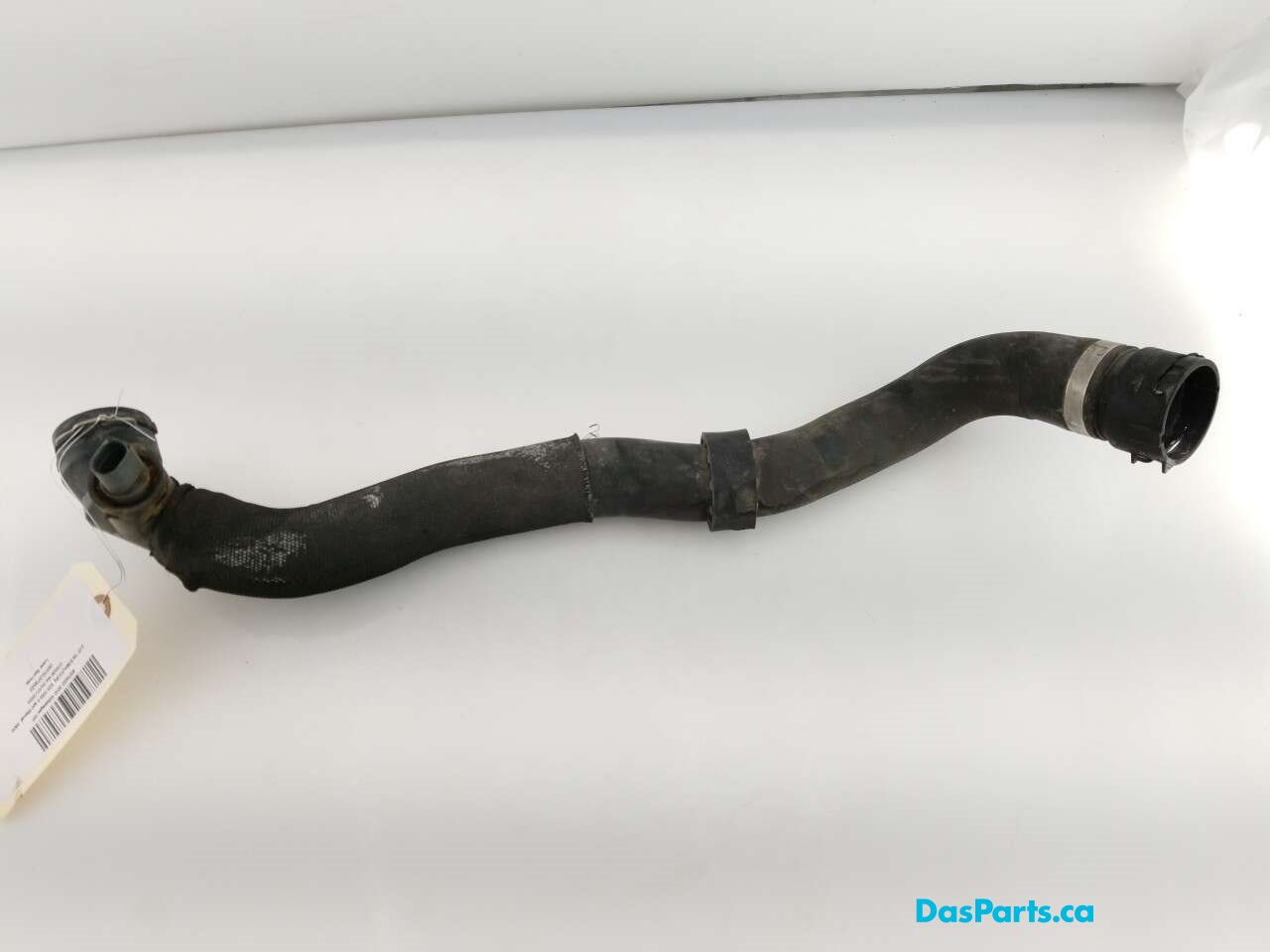 Lower Rad Hose
