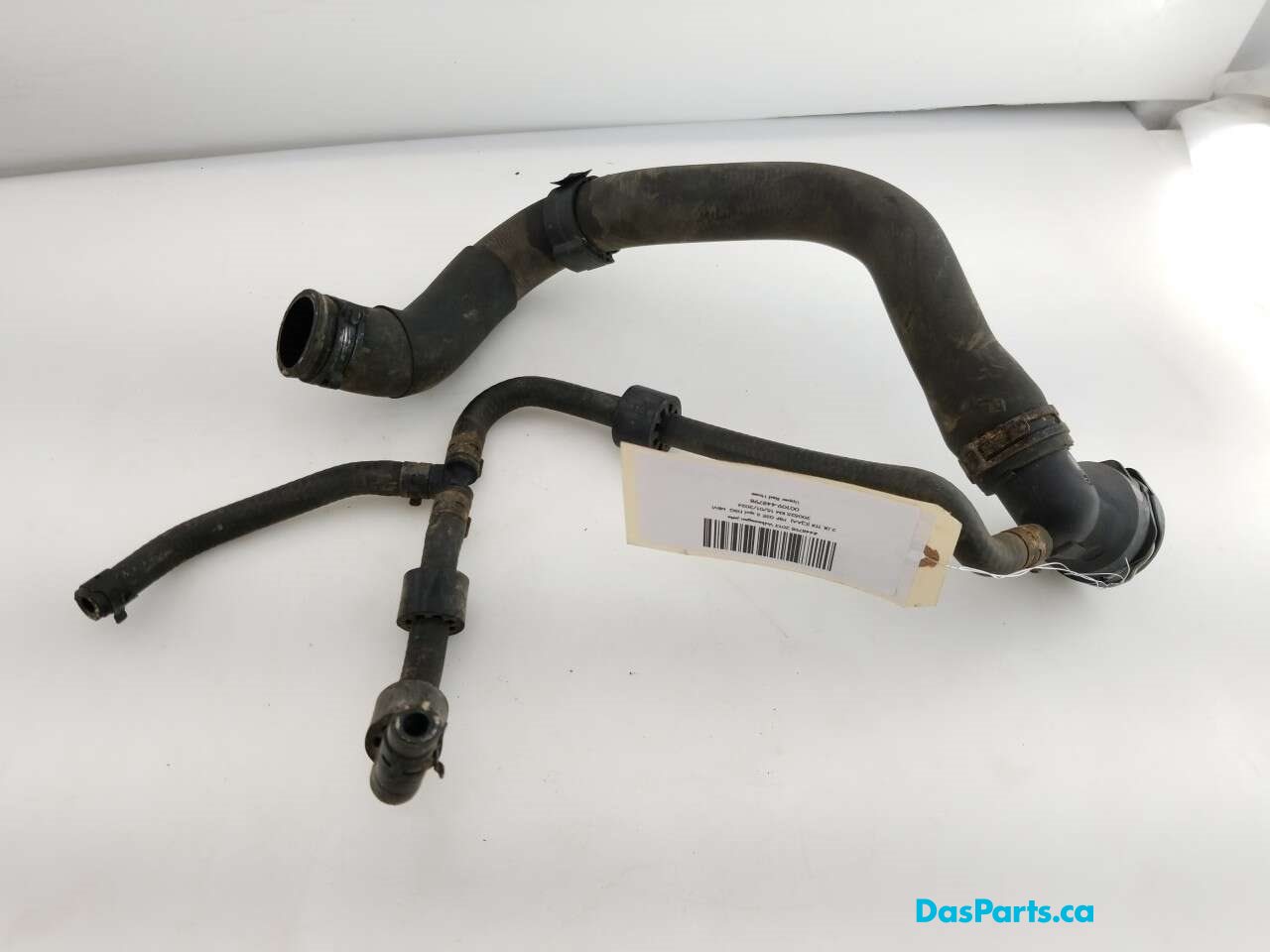 Upper Rad Hose