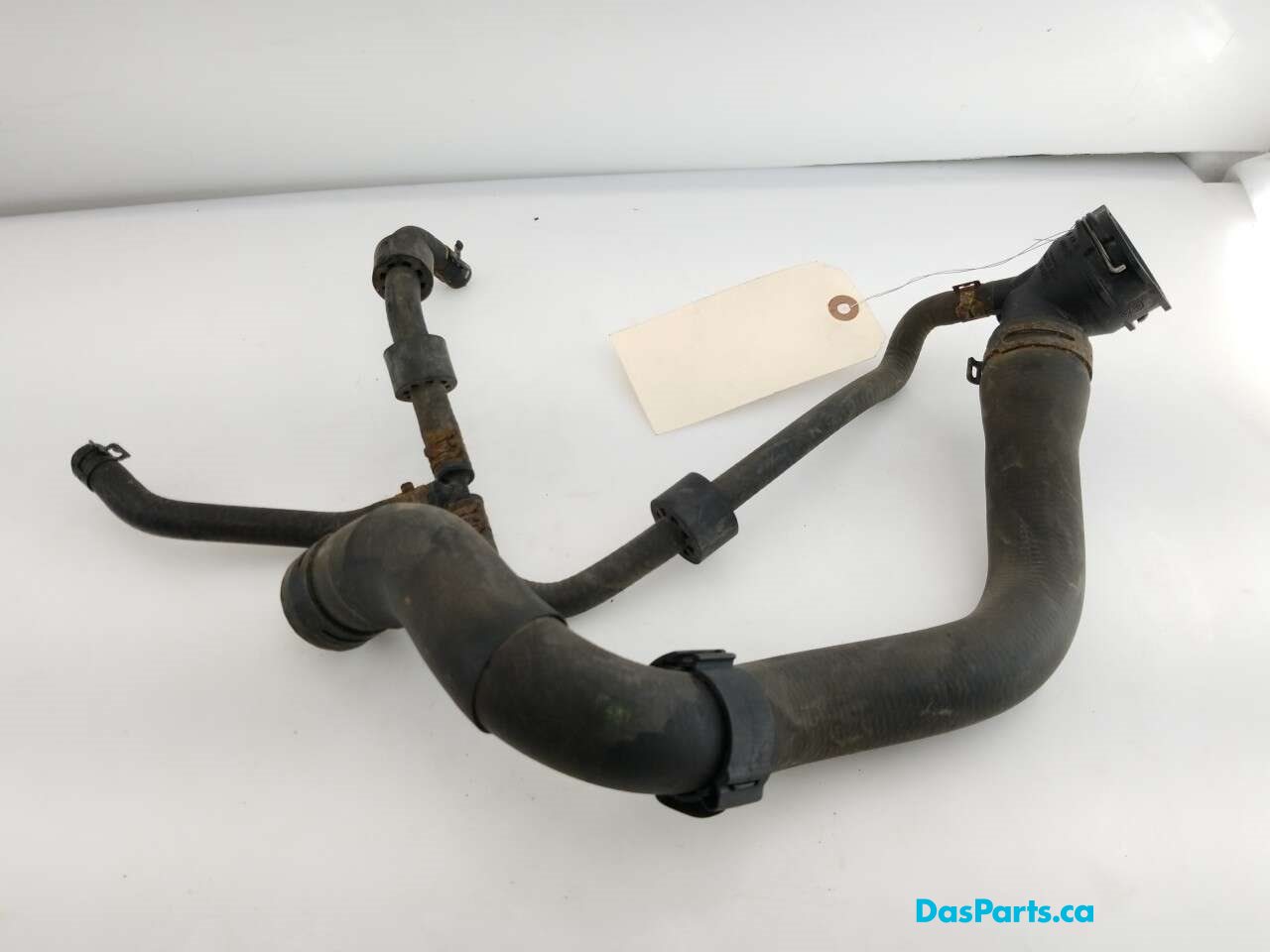 Upper Rad Hose
