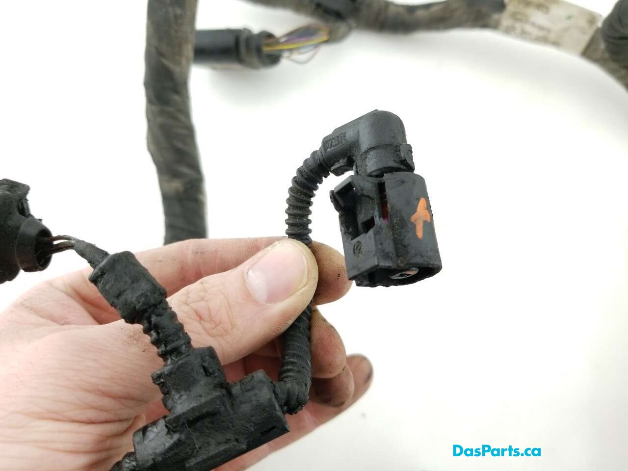 Main Engine Harness