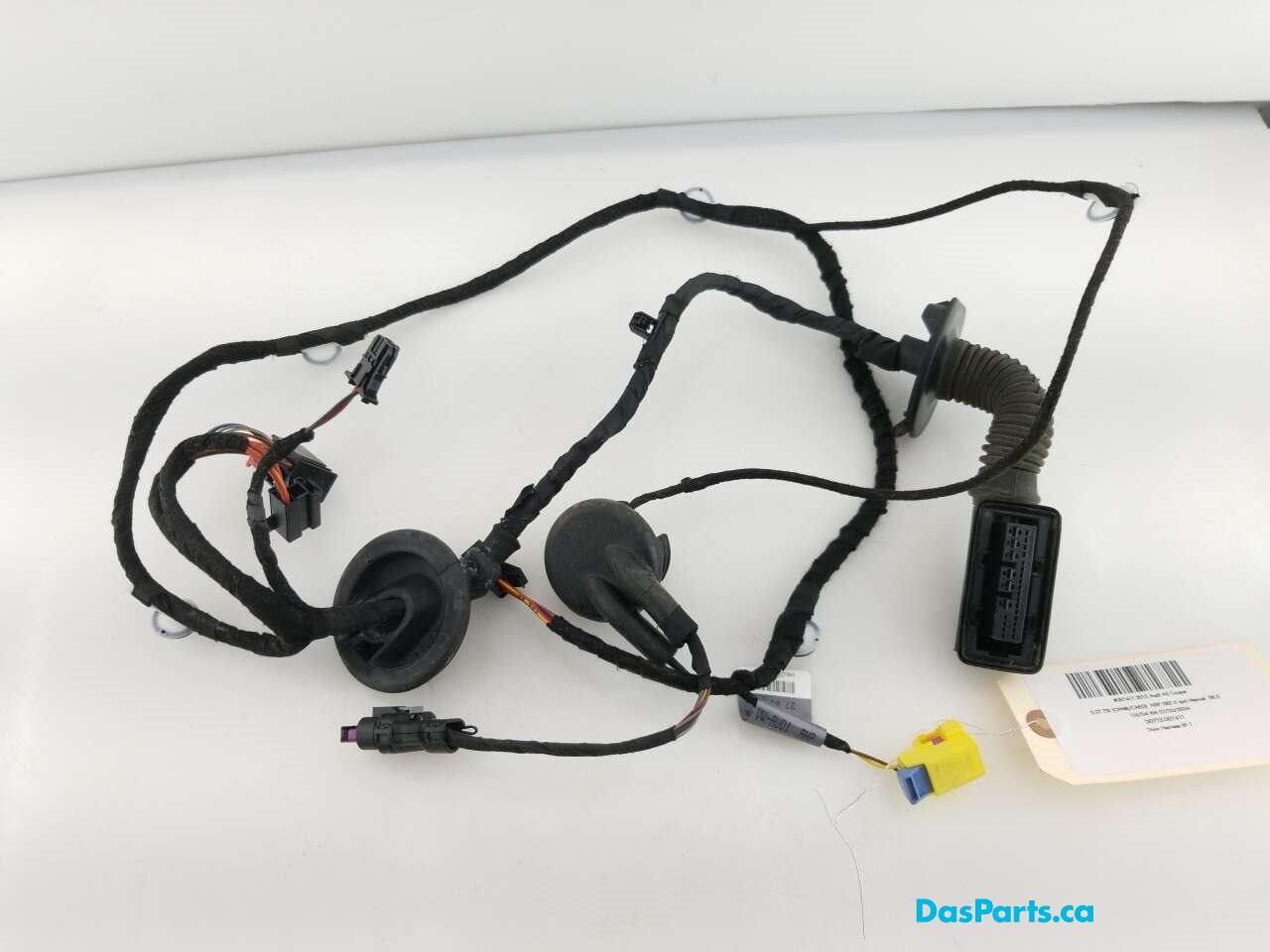 Door Harness RF 1