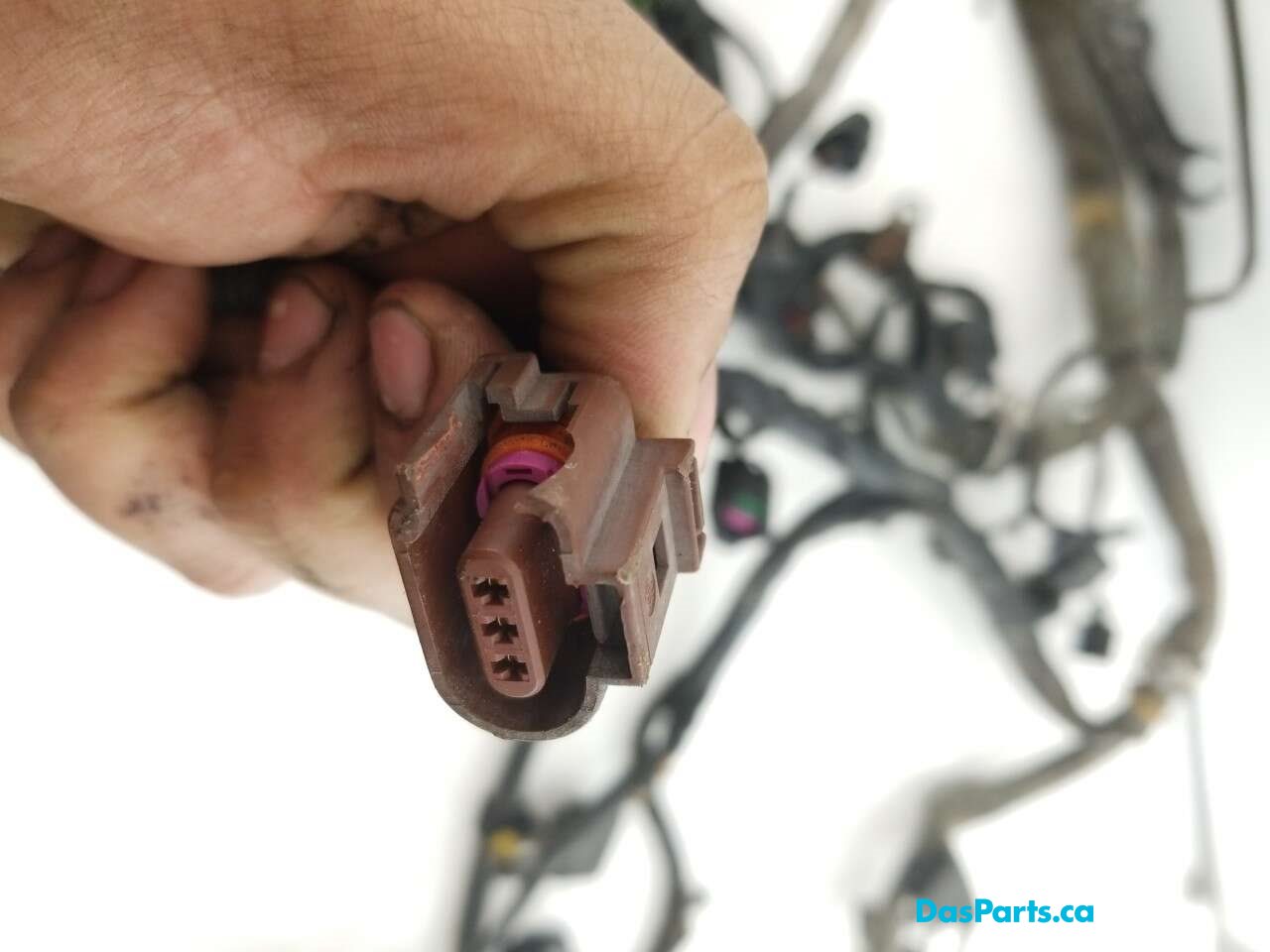Main Engine Harness