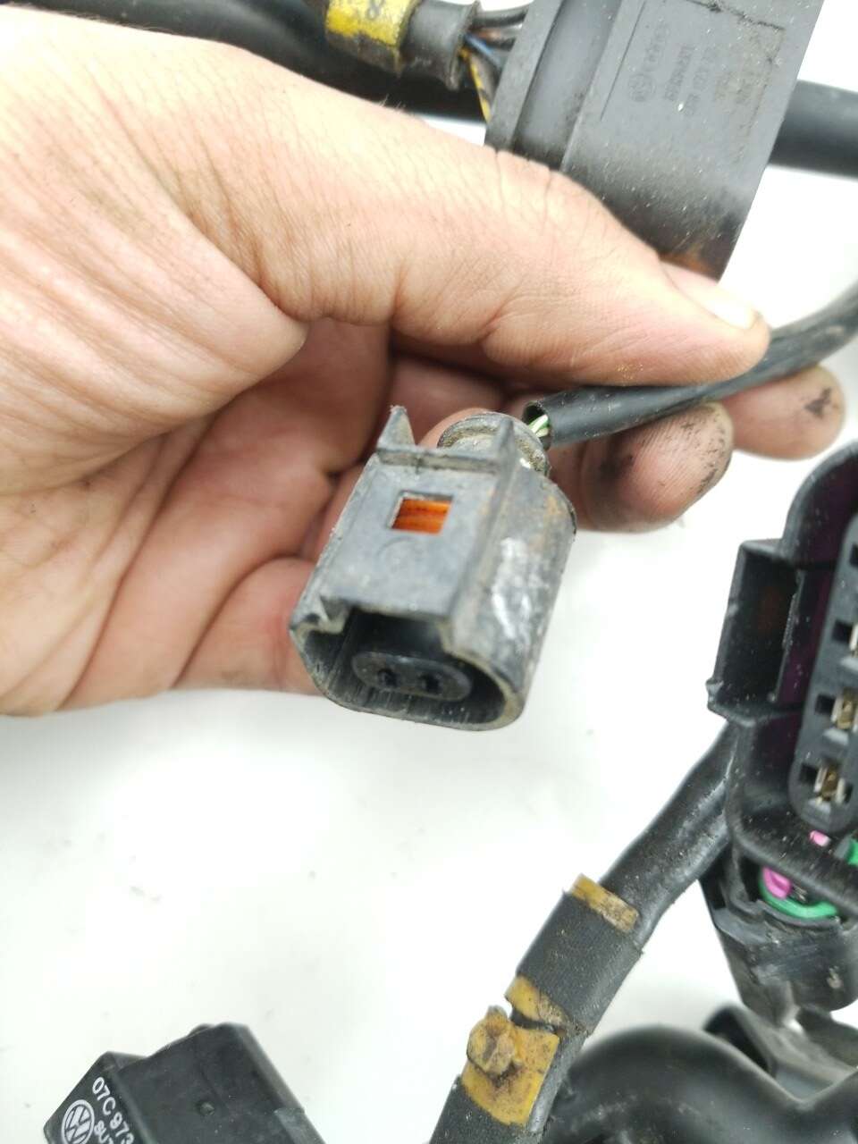 Main Engine Harness
