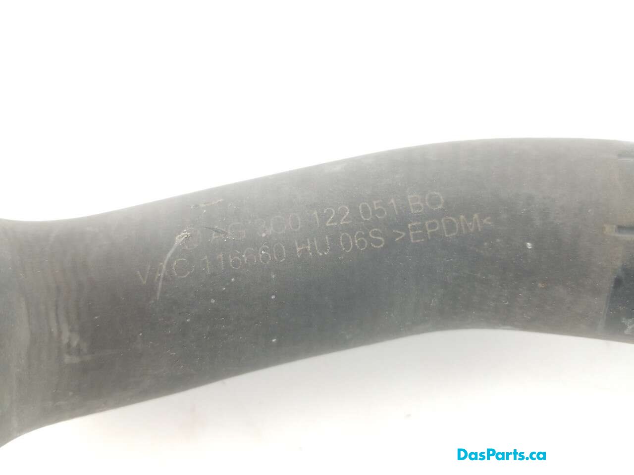 Lower Rad Hose