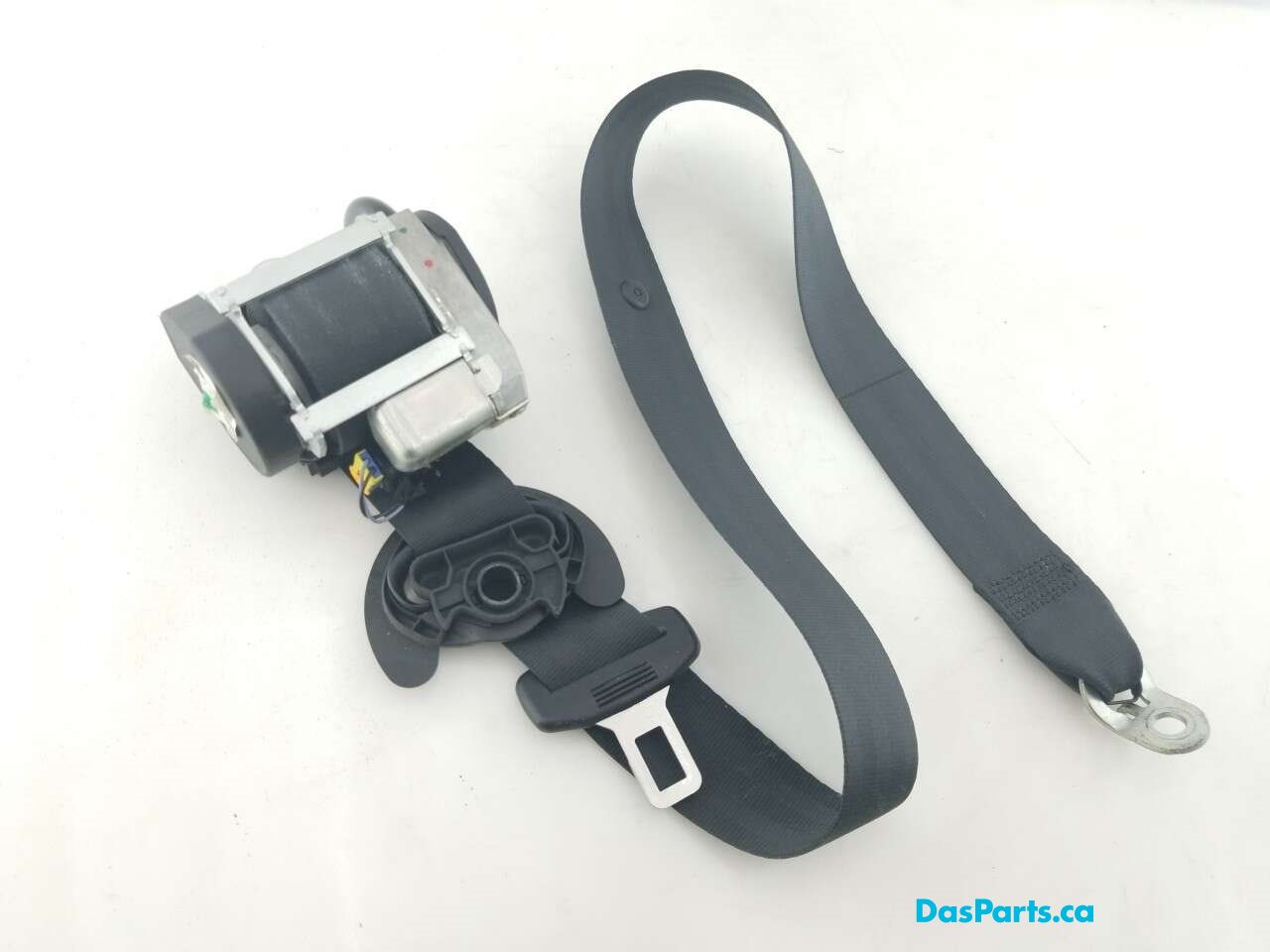 Seat Belt RF