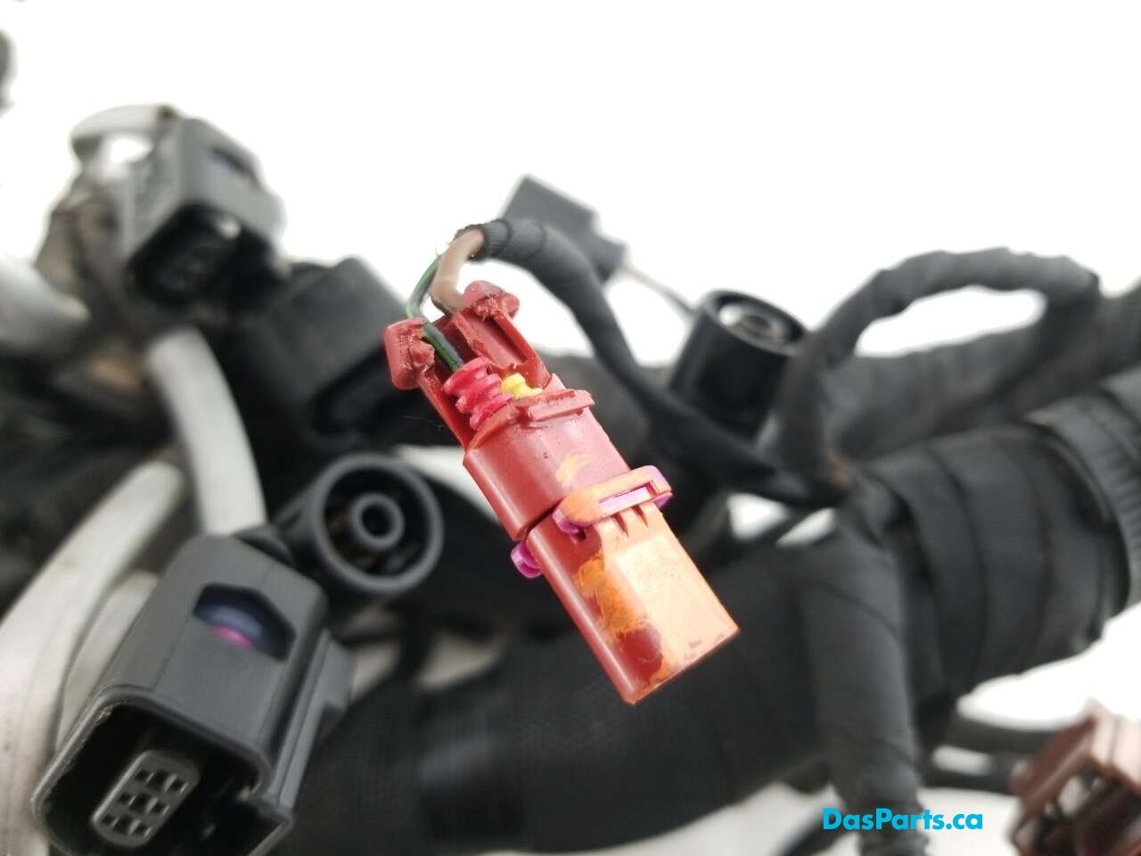 Main Engine Harness