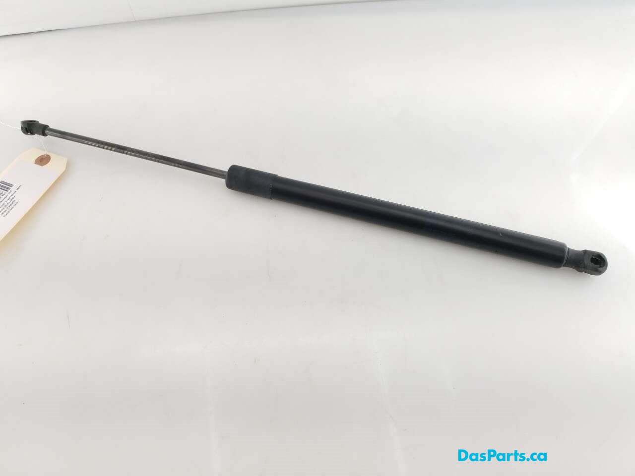 Trunk/Hatch Strut 1