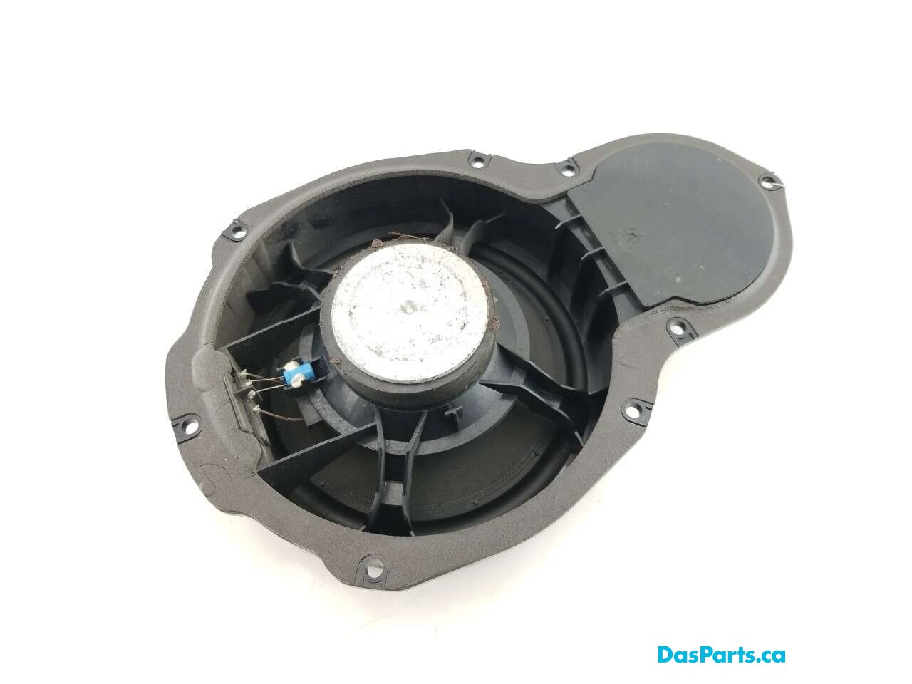 Speaker RF